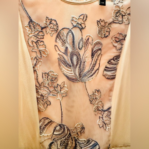 BCBGMAXAZRIA Nel Silk Embroidered Blush Romantic Asymmetrical Hem Midi Dress, XS - Picture 4 of 10